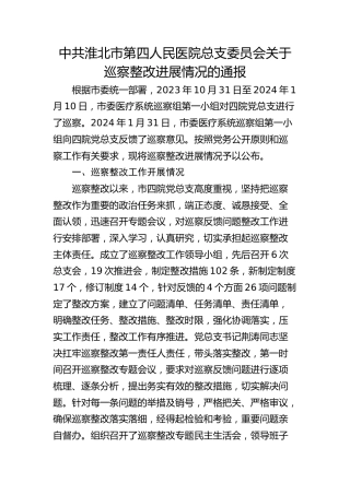 市第四人民医院总支委员会关于巡察整改进展情况的通报