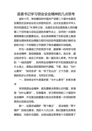 （四中全会）县委书记学习领会全会精神的几点思考