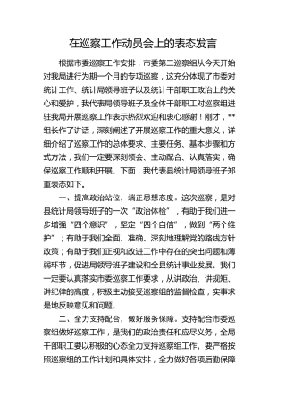 在巡察工作动员会上的表态发言 (2)