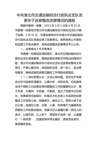 市交通运输综合行政执法支队党委关于巡察整改进展情况的通报