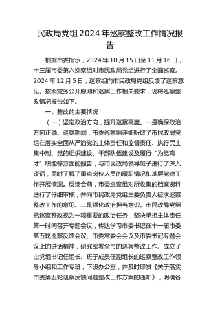 民政局党组巡察整改工作情况总结报告