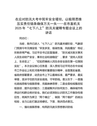 在市直机关2025年“七下八上”防汛关键期专题会议上的讲话 (2)