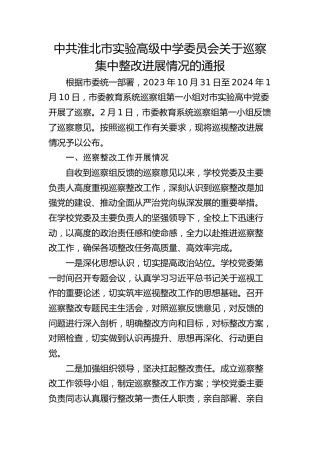 市实验高级中学委员会关于巡察集中整改进展情况的通报