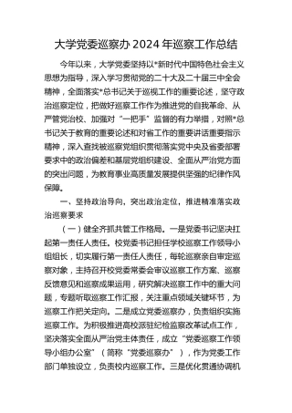 大学党委巡察办巡察工作总结（学校）