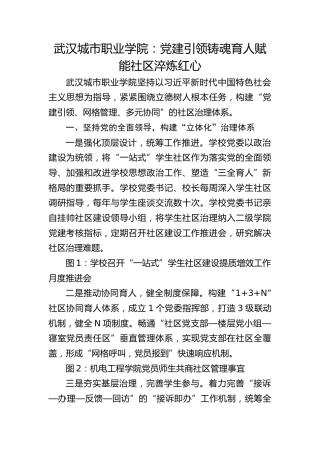 武汉城市职业学院：党建引领铸魂育人 赋能社区淬炼红心