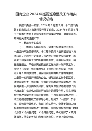 国企公司巡视（巡察）整改工作落实情况总结