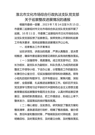 淮北市文化市场综合行政执法支队党支部关于巡察整改进展情况的通报