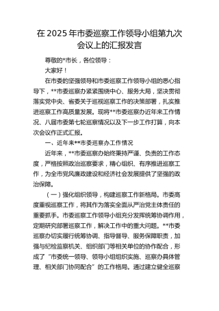 市委巡察工作领导小组第九次会议上的汇报发言