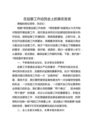在巡察工作动员会上的表态发言 (3)