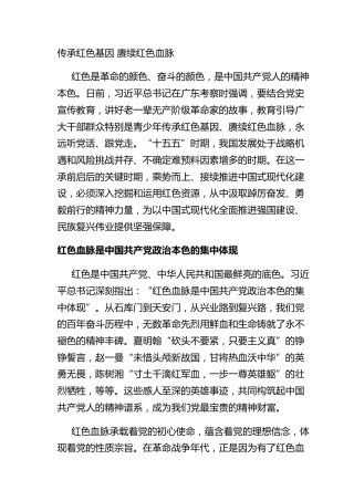 传承红色基因 赓续红色血脉