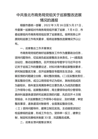 市商务局党组关于巡察整改进展情况的通报