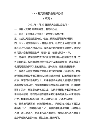 2.×××支部选举办法