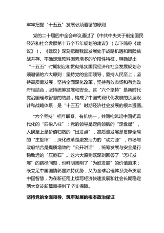 牢牢把握“十五五”发展必须遵循的原则