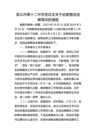 淮北市第十二中学党总支关于巡察整改进展情况的通报