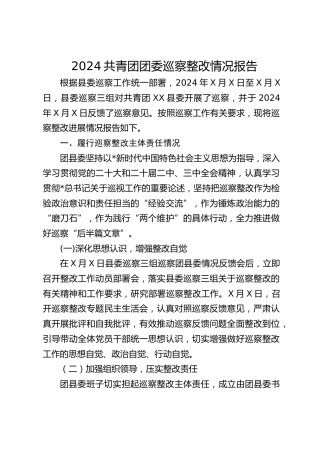 共青团团委巡察整改情况报告