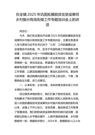乡镇2025年巩固拓展脱贫攻坚成果同乡村振兴有效衔接工作专题培训会上的讲话