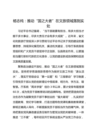 党建经验发言：推动“国之大者”在文旅领域落到实处