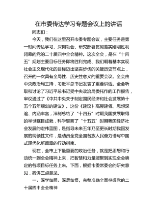 （四中全会）在市委传达学习专题会议上的讲话