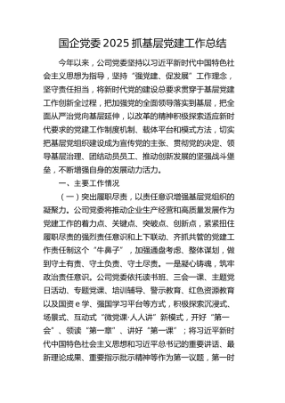 公司2025年党建工作总结5400字