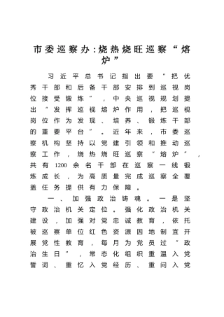 市委巡察办：烧热烧旺巡察“熔炉”