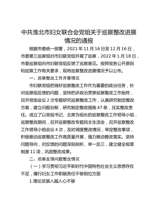 市妇女联合会党组关于巡察整改进展情况的通报