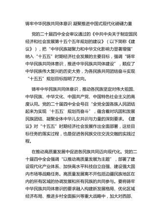 铸牢中华民族共同体意识 凝聚推进中国式现代化磅礴力量