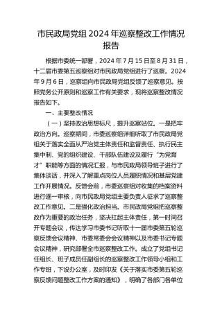 市民政局党组巡察整改工作情况报告