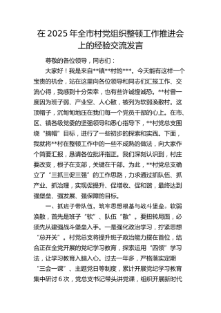 全市村党组织整顿工作推进会上的经验交流发言