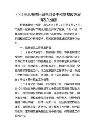 市统计局党组关于巡察整改进展情况的通报