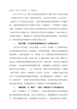 新质生产力的“杭州经验”与“芜湖启示”