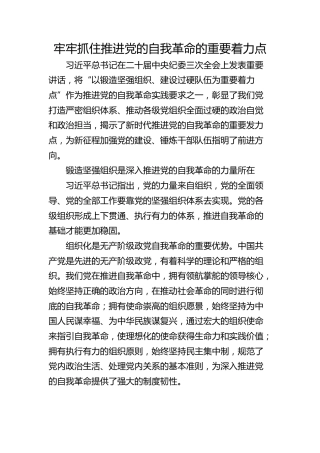 牢牢抓住推进党的自我革命的重要着力点