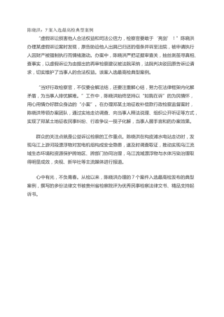 陈晓洪：7案入选最高检典型案例