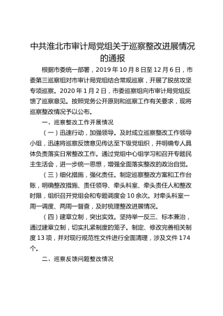 市审计局党组关于巡察整改进展情况的通报