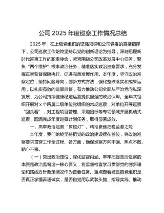 公司2025年度开展巡察工作情况总结4700字
