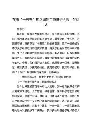 在市“十五五”规划编制工作推进会议上的讲话(1)