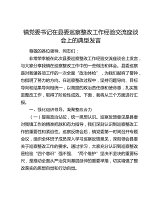 乡镇书记在县委巡察整改工作经验交流座谈会上的典型发言