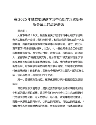 乡镇党委理论学习中心组学习巡听旁听会议上的点评讲话