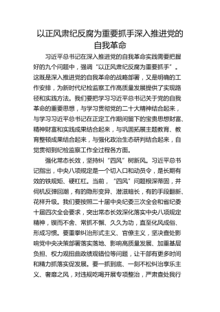 以正风肃纪反腐为重要抓手 深入推进党的自我革命