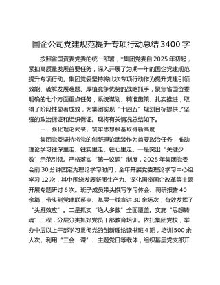 国企公司党建规范提升专项行动总结3400字