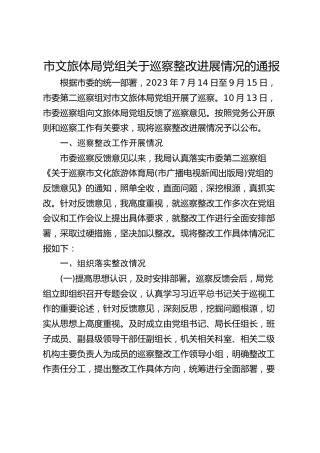 市文旅体局党组关于巡察整改进展情况的通报
