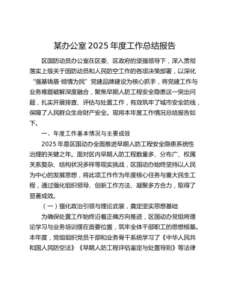 国防动员办公室2025年度工作总结报告