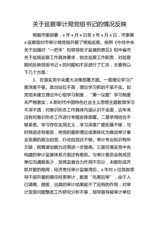 关于巡察审计局党组书记的情况反映（问题及建议）