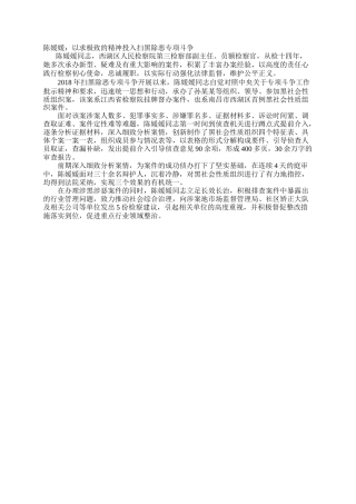 陈媛媛：以求极致的精神投入扫黑除恶专项斗争