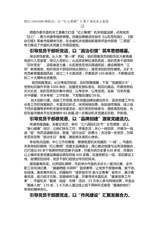 栖霞市：以“红心聚栖”汇聚干事创业正能量