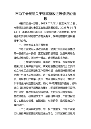 市总工会党组关于巡察整改进展情况的通报