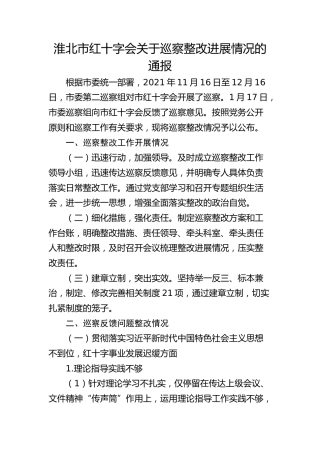 淮北市红十字会关于巡察整改进展情况的通报