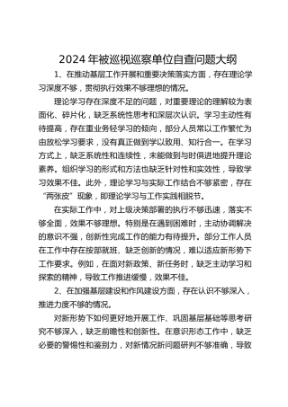 被巡视巡察单位自查问题大纲