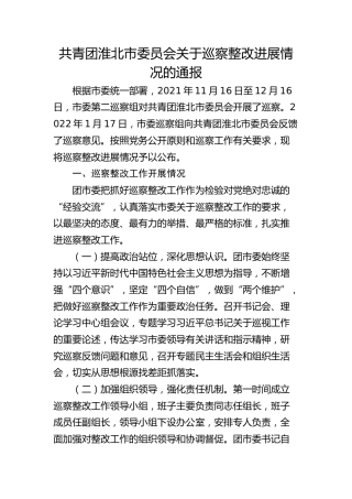 共青团淮北市委员会关于巡察整改进展情况的通报