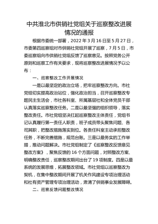市供销社党组关于巡察整改进展情况的通报
