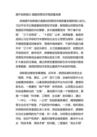提升创新能力 赋能民营经济高质量发展